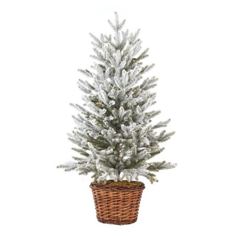 PINETTO WHITE SCOTCH CON CESTO